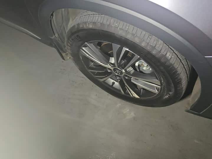 BYD Song Pro Hybrid, 2022 — фото 5 из 9