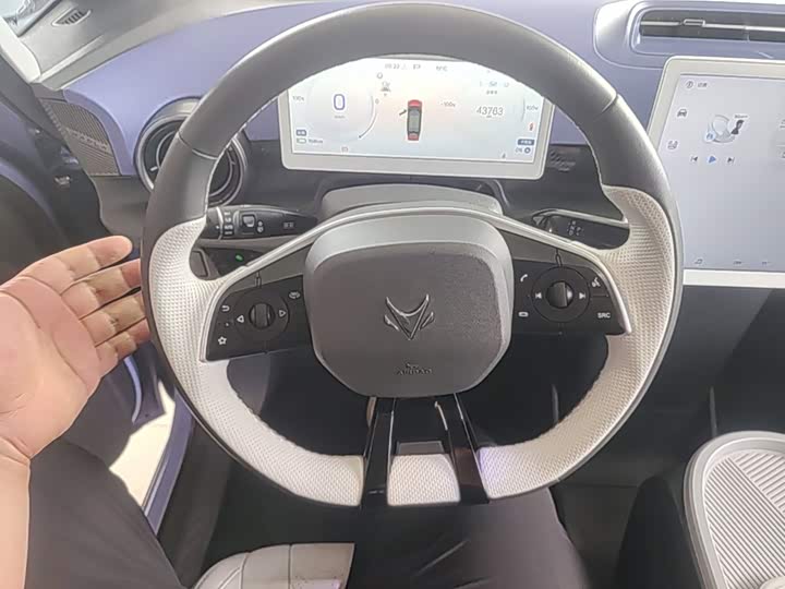BAIC Arcfox Kaola, 2023 — фото 7 из 9