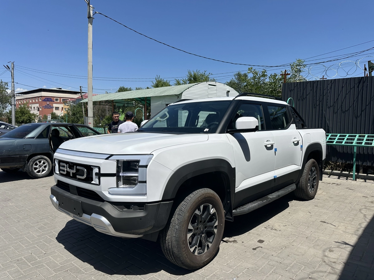 BYD Shark, 2026