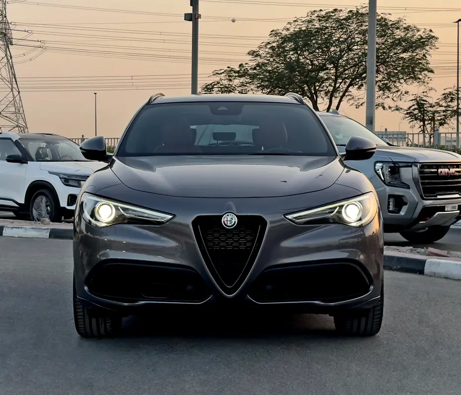 Alfa Romeo Stelvio, 2022 — фото 2 из 10