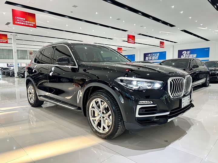 BMW X5 Hybrid, 2023 — фото 4 из 9