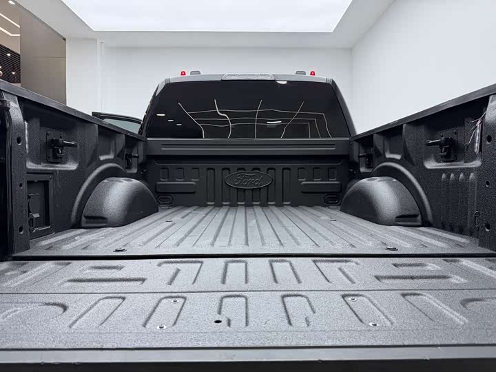 Ford F-150 Raptor, 2023 — фото 8 из 9