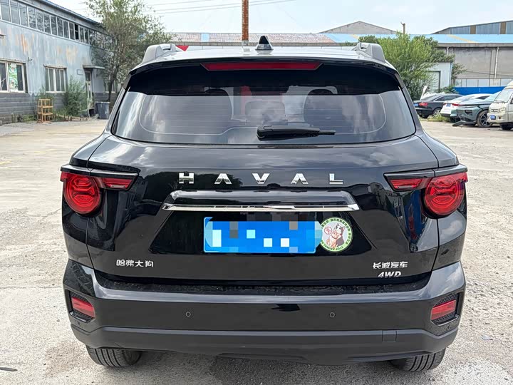 Haval H-Dog, 2024 — фото 4 из 9
