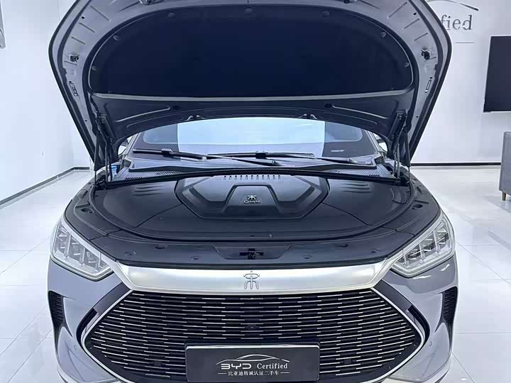 BYD Song Plus Hybrid/EV, 2022 — фото 8 из 9
