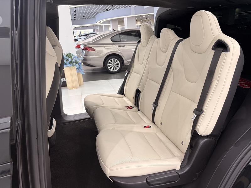 Tesla Model X, 2023 — фото 10 из 11