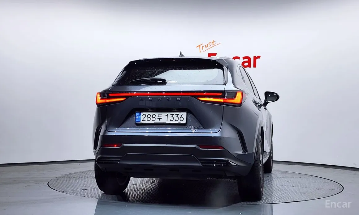 Lexus NX, 2023 — фото 4 из 12
