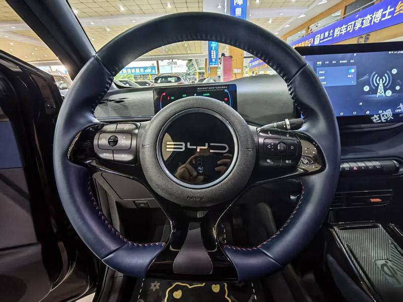 BYD Seagull, 2023 — фото 8 из 11