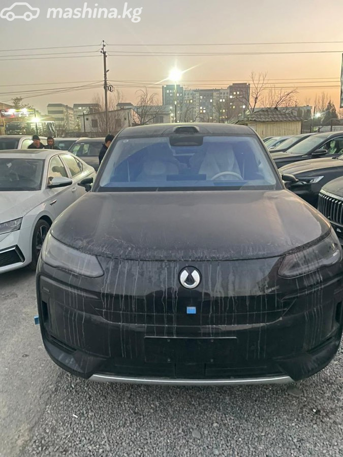 Denza N9, 2025
