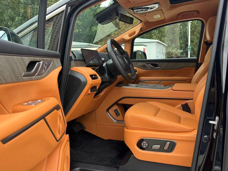 Wey 80 Hybrid, 2025 — фото 10 из 12