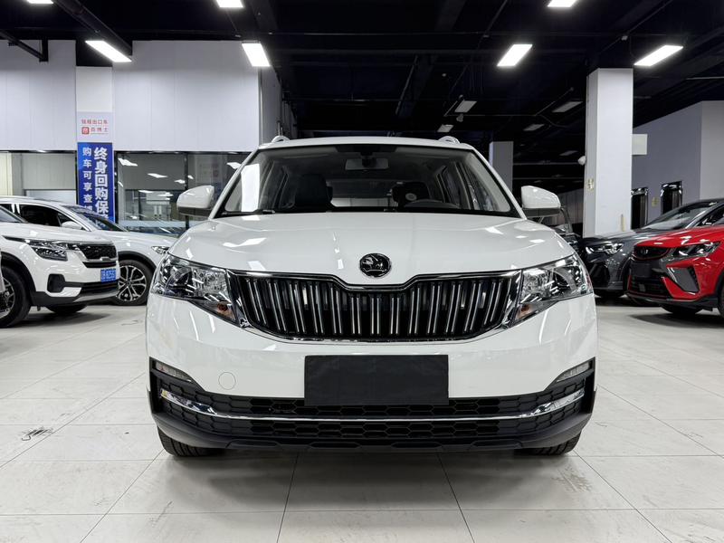 Skoda Kamiq, 2022 — фото 2 из 12