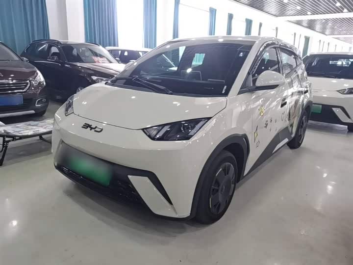 BYD Seagull, 2024 — купить в Перми под ключ