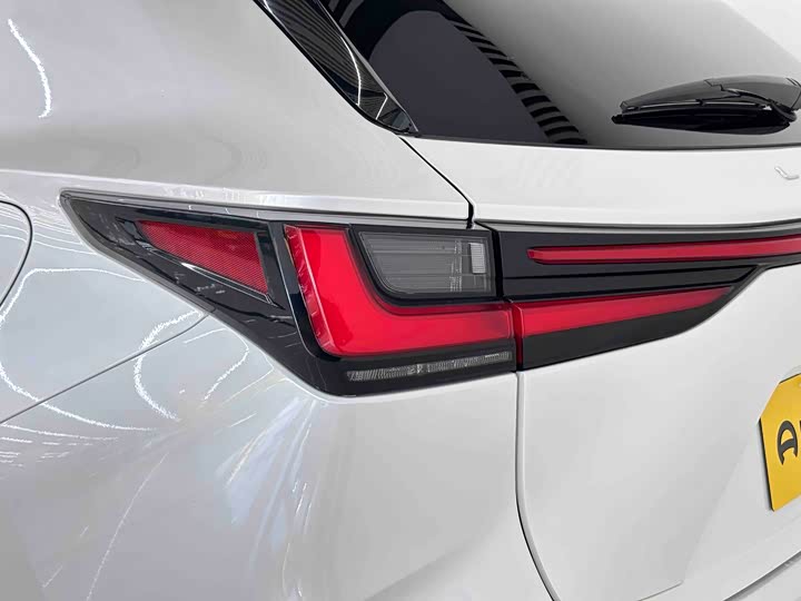 Lexus NX, 2023 — фото 9 из 9