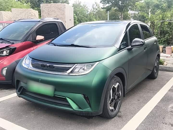 BYD Dolphin, 2022 — купить в Санкт-Петербурге под ключ