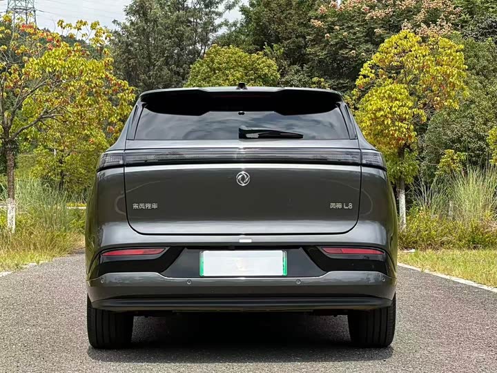 Dongfeng Aeolus L8, 2025 — фото 5 из 9