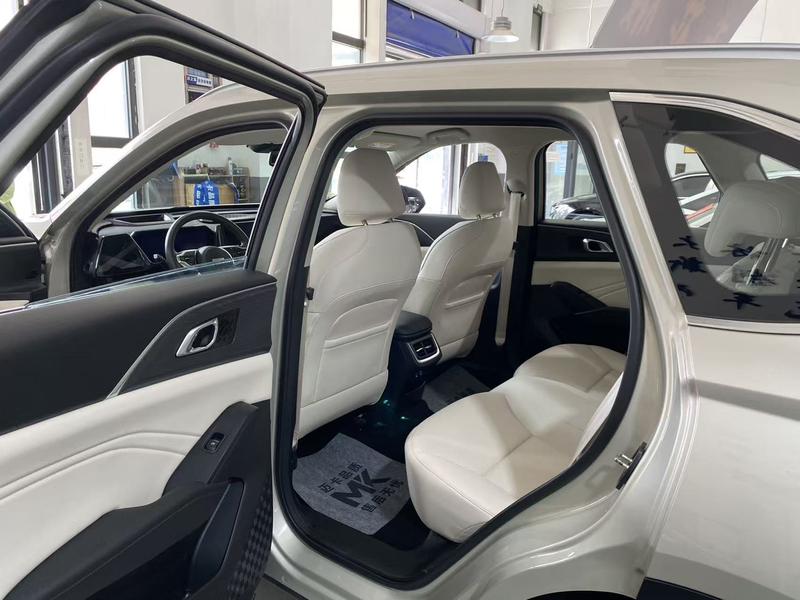 Haval Ruge Max, 2024 — фото 10 из 12