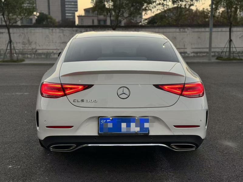Mercedes-Benz CLS-Class, 2023 — фото 4 из 9