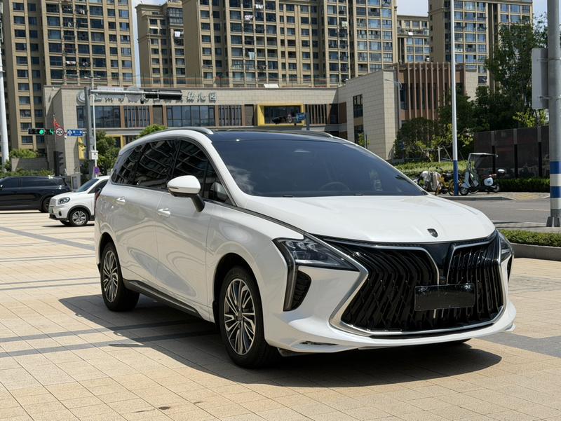 Dongfeng Forthing Yacht, 2023 — фото 3 из 11