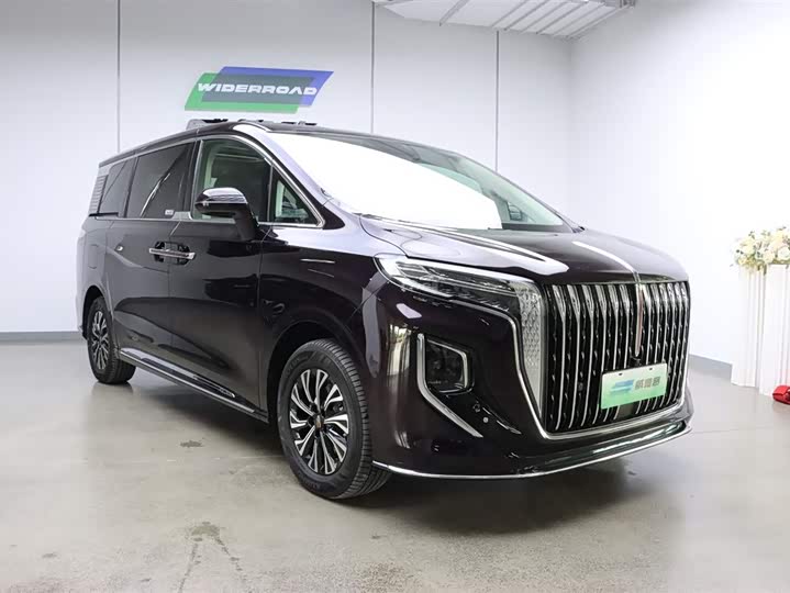Hongqi HQ9 Hybrid, 2024 — фото 4 из 9
