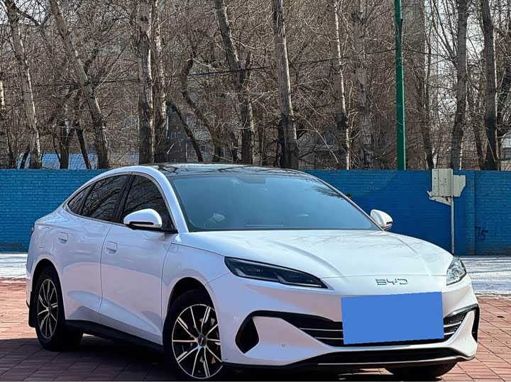 BYD Seal 06 Hybrid/EV, 2024 — фото 2 из 9