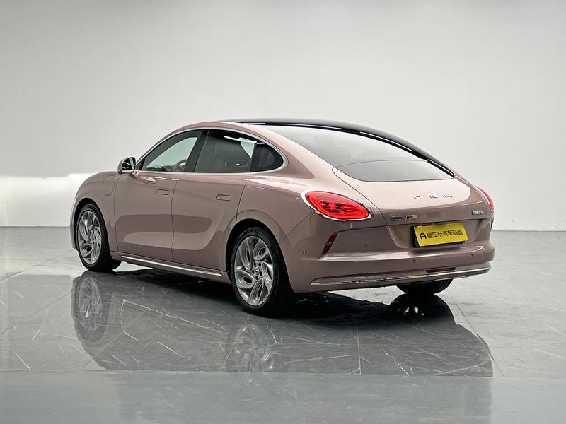 Ora Lightning Cat (07), 2023 — фото 5 из 12
