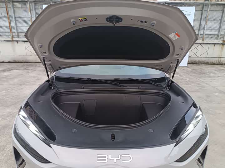 BYD Sea Lion 06 Hybrid/EV, 2025 — фото 5 из 9