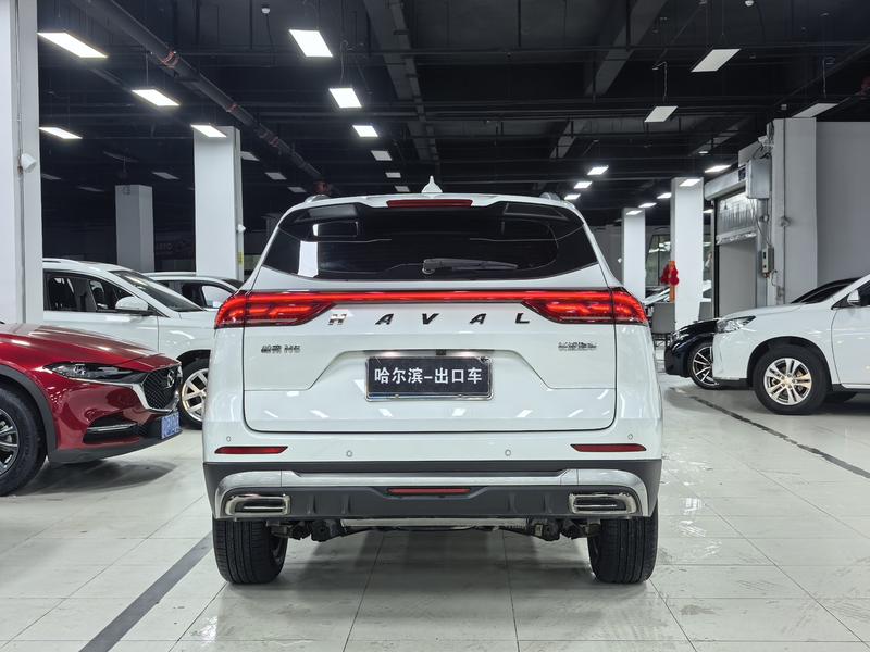 Haval H6, 2022 — фото 6 из 12