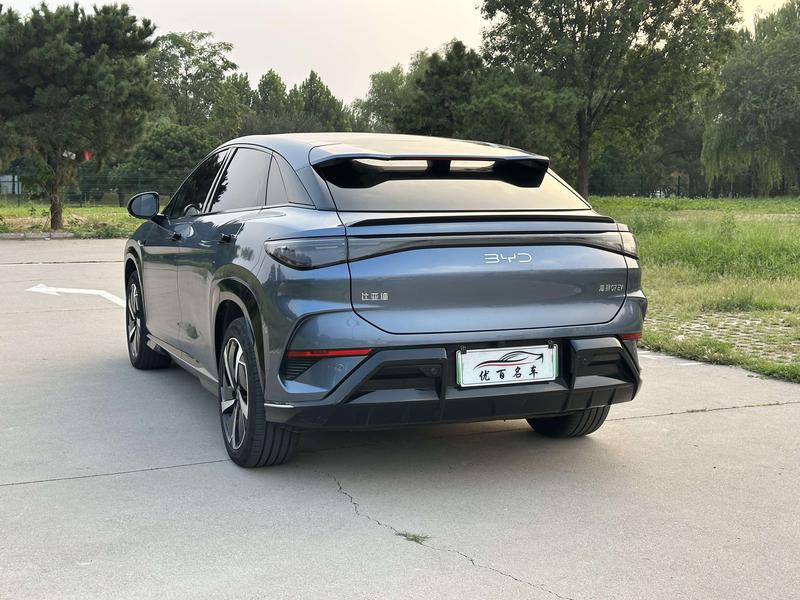BYD Sea Lion 07 EV, 2024 — фото 5 из 12