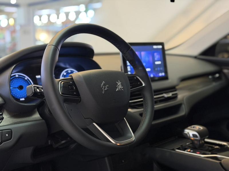 Hongqi E-QM5, 2024 — фото 9 из 12