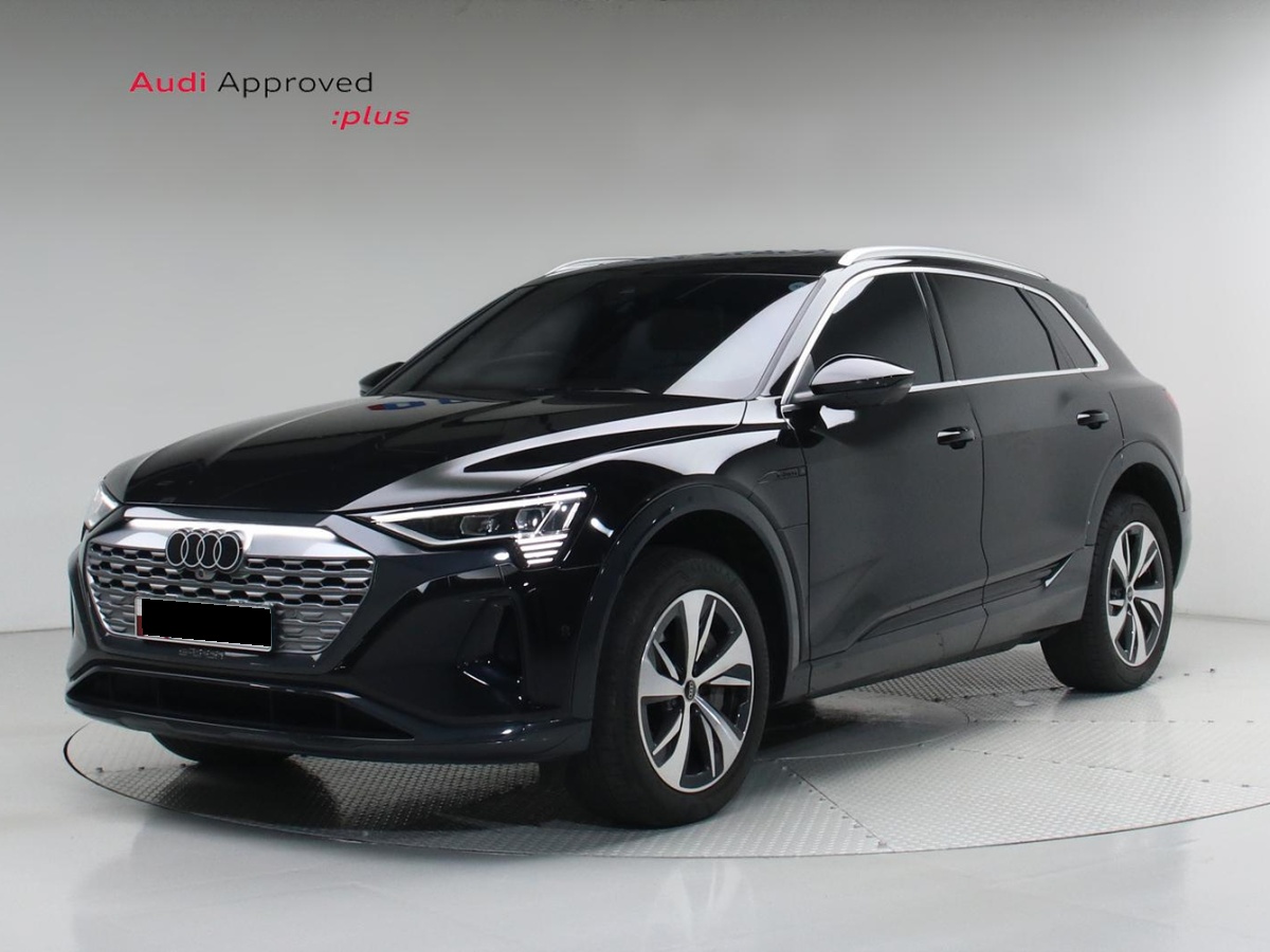 Audi Q8 e-tron, 2024 — купить в Самаре под ключ