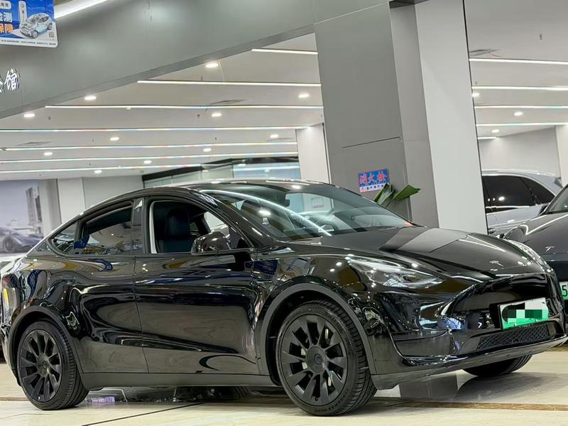 Tesla Model Y, 2023 — фото 3 из 8
