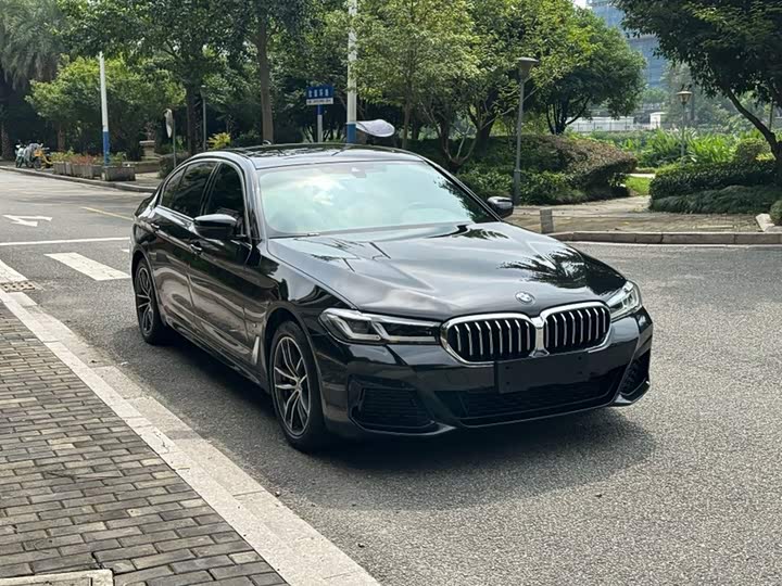 BMW 5 Series Hybrid, 2021 — фото 8 из 9