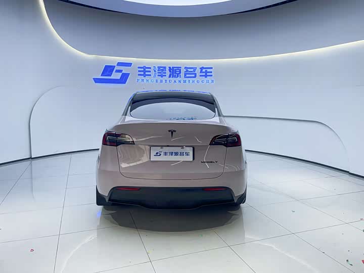 Tesla Model Y, 2021 — фото 5 из 9