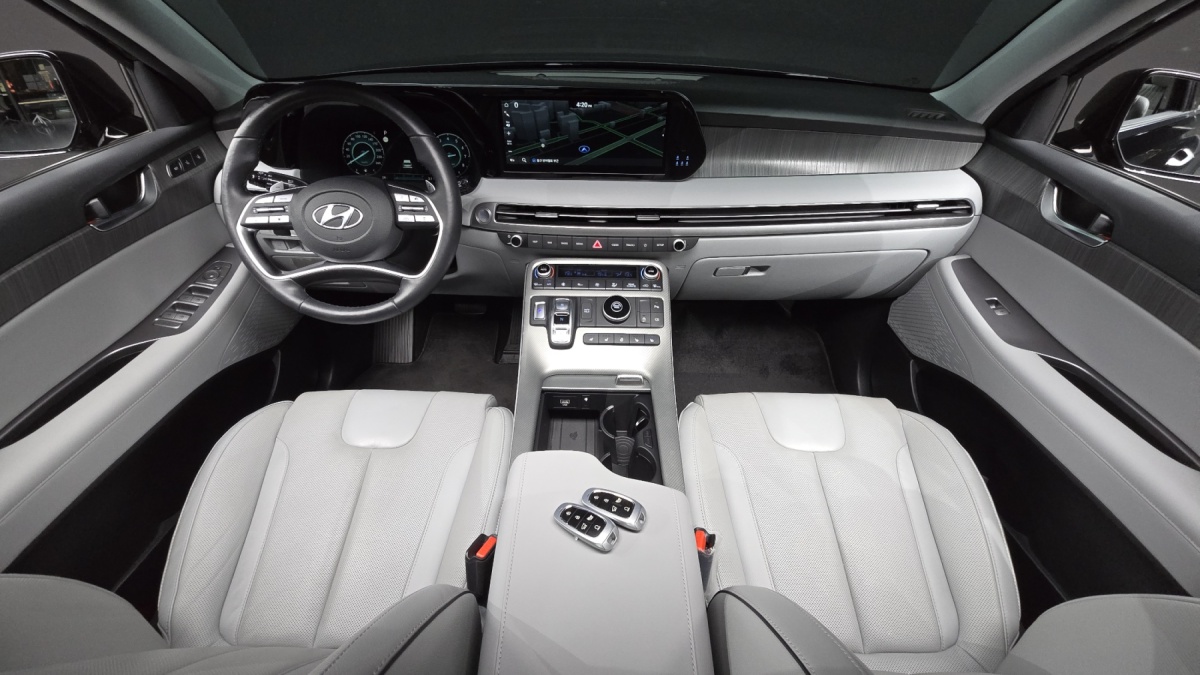 Hyundai Palisade, 2023 — фото 6 из 12