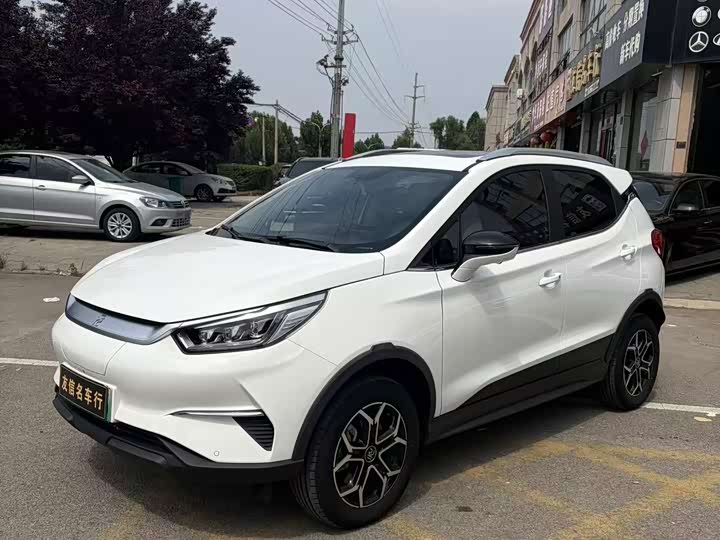 BYD Yuan Pro, 2021 — купить в Смоленске под ключ