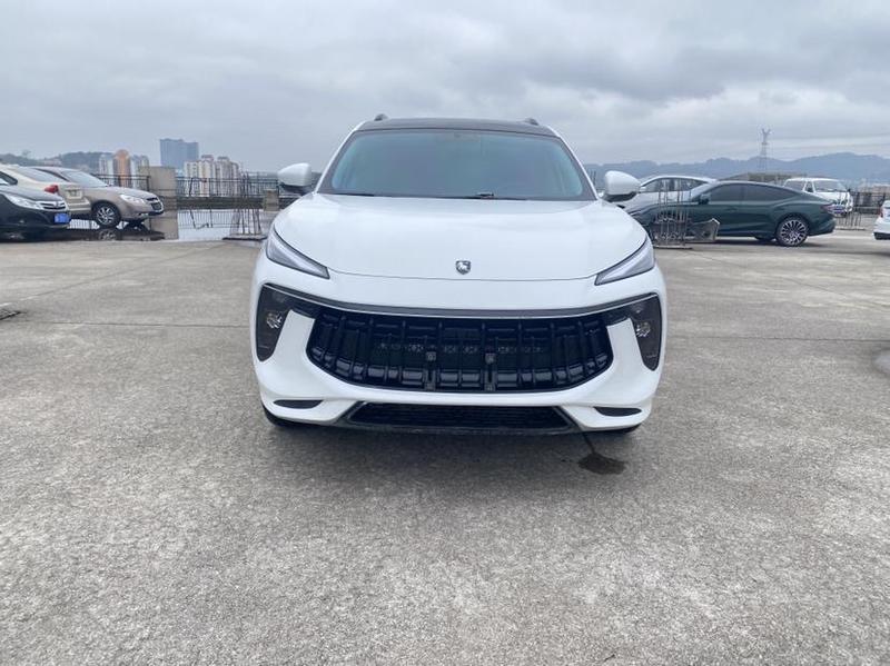 Dongfeng Forthing T5 EVO, 2022 — фото 2 из 9