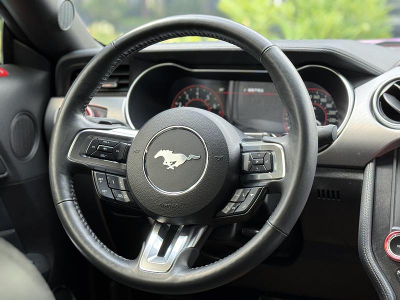 Ford Mustang, 2023 — фото 10 из 12