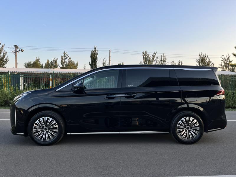 BYD M9, 2025 — фото 4 из 12