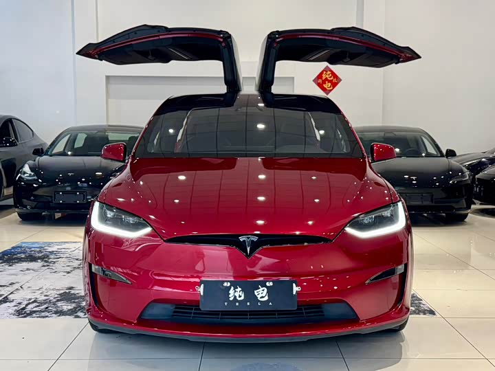 Tesla Model X, 2023 — фото 2 из 9
