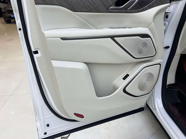 Wey 80 Hybrid, 2025 — фото 7 из 9