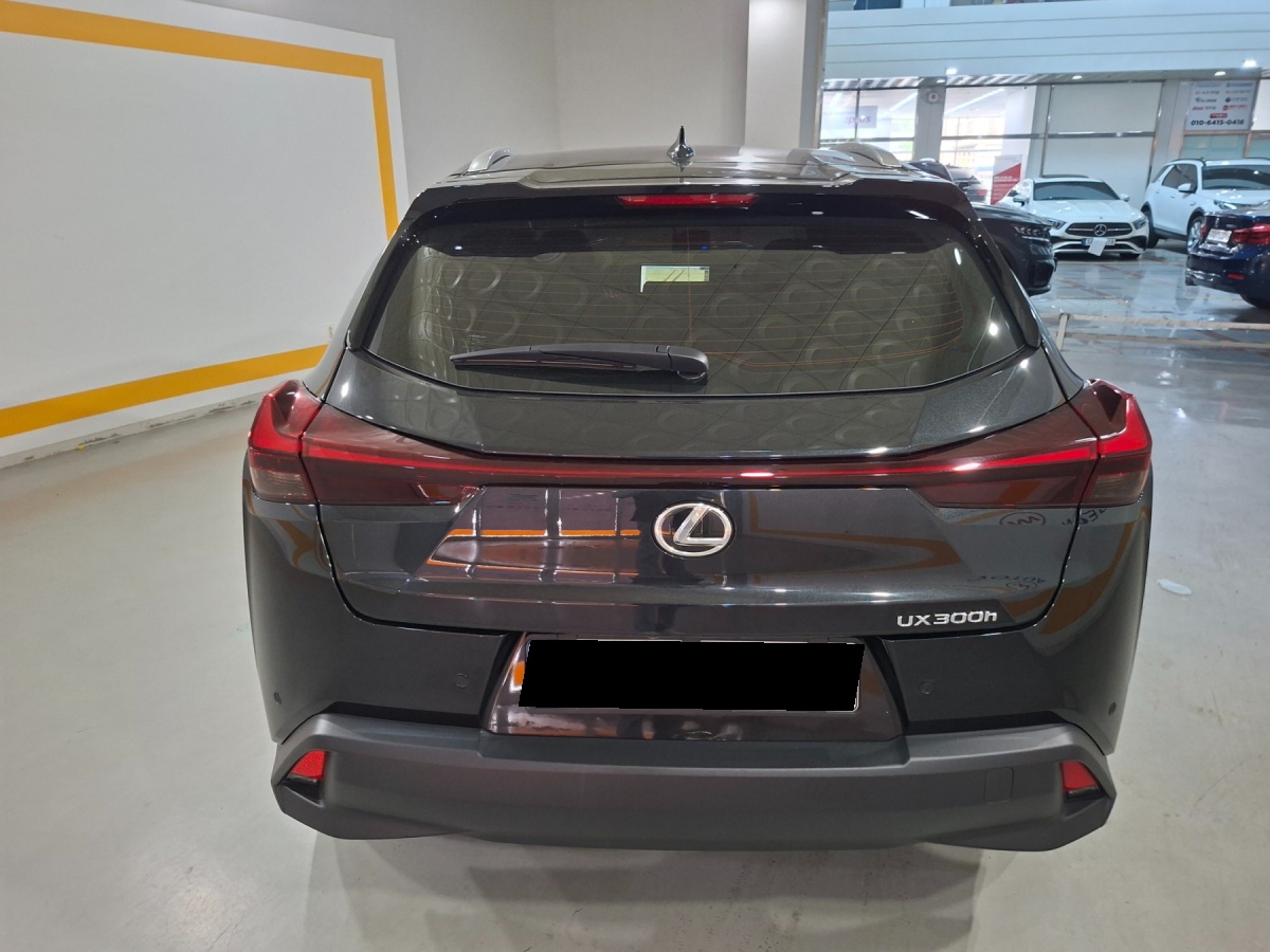 Lexus UX, 2024 — фото 4 из 12