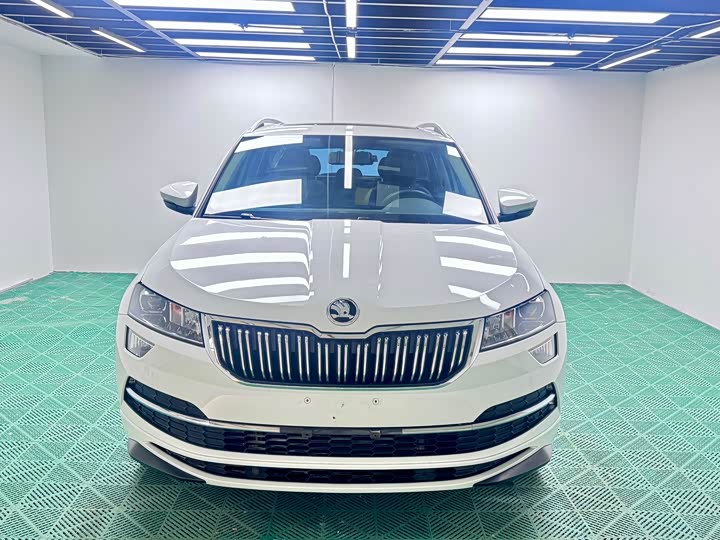 Skoda Karoq, 2023 — фото 2 из 9