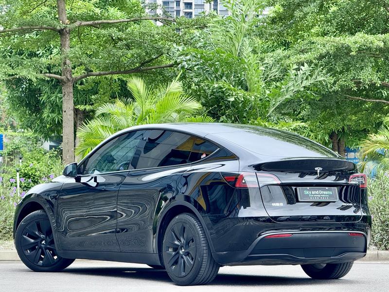 Tesla Model Y, 2022 — фото 4 из 11