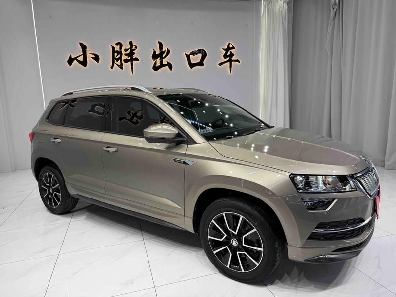 Skoda Karoq, 2023 — фото 3 из 12