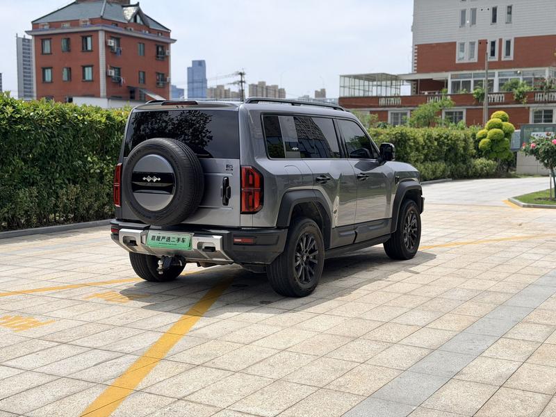 BYD FangChengBao Leopard 5, 2024 — фото 6 из 12