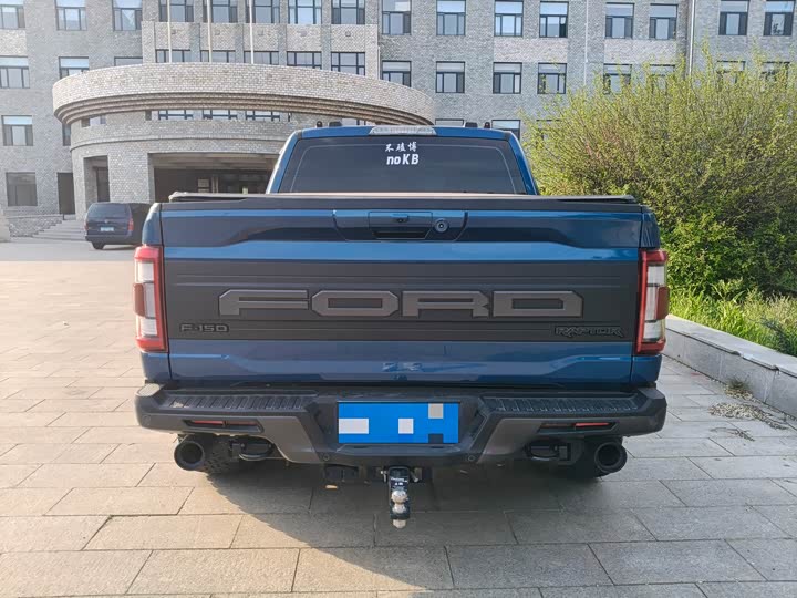 Ford F-150 Raptor, 2023 — фото 9 из 9
