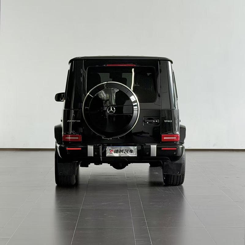 Mercedes-Benz G-Class, 2023 — фото 5 из 11