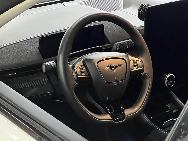 Ford Mustang Mach-E, 2023 — фото 9 из 9