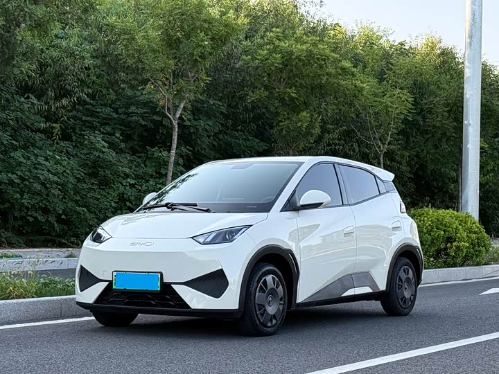 BYD Seagull, 2025 — купить в Санкт-Петербурге под ключ