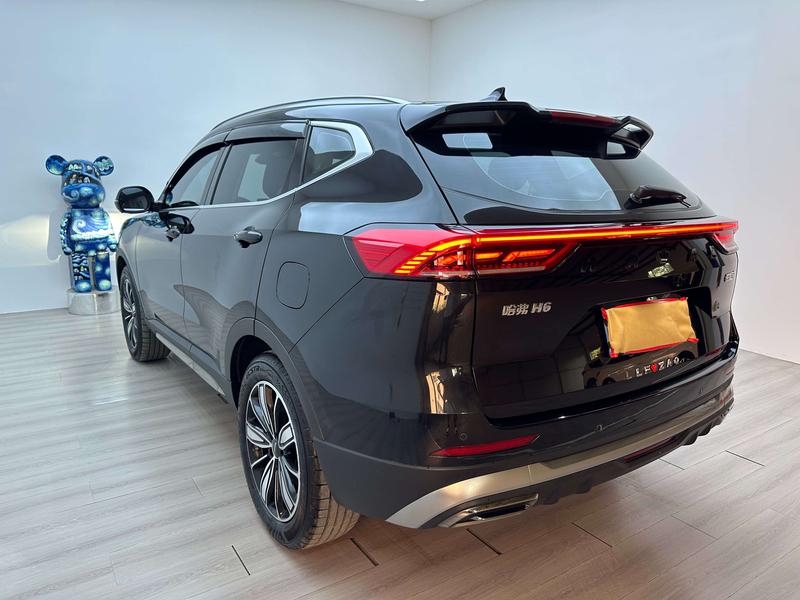 Haval H6, 2023 — фото 4 из 12