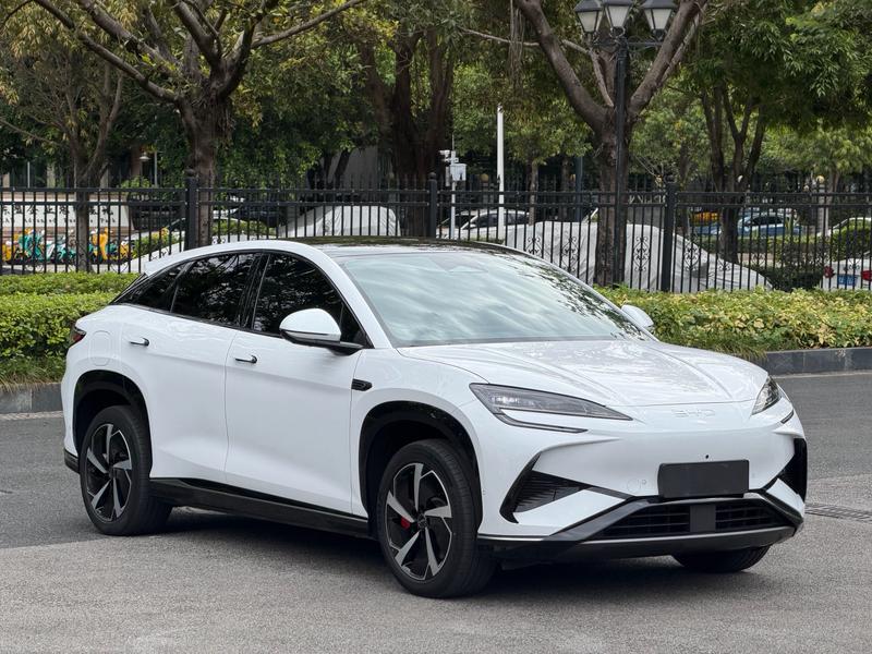 BYD Sea Lion 07 EV, 2024 — фото 3 из 12